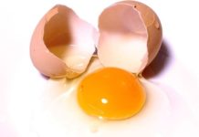 一天可吃幾顆蛋?一圖看「蛋白vs.蛋黃」PK 這6種營養它全贏